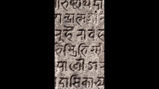 A Branch of Sanskrit in Ancient Middle East  Mitanni Empire shorts [upl. by Cirdor]