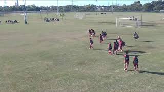 DT ECNL GU13 vs Sting Austin ECNL GU13 [upl. by Enelehs]