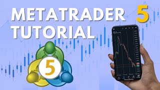 Beginners Guide To MetaTrader 5  StopLoss Take Profit Order Types Explained [upl. by Buzz]