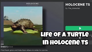 Life of a Turtle in Holocene TS  Holocene TS [upl. by Christyna]