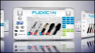 Flexicon Product Overview [upl. by Niatirb442]