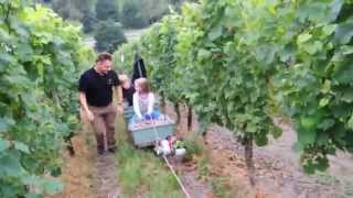 SommerSchlittenfahrt im Weinberg mit Portablewinch PCW 3000 ProRegio Moselle [upl. by Nerin]