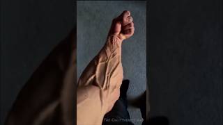 Wanna Veiny Forearms 💪 Start this forearms workout shorts shortsviral calisthenics sports fy [upl. by Dyoll]