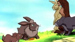 Watership Down TV  Series AMV Tonight [upl. by Noelopan75]