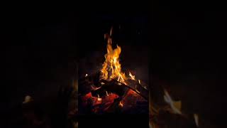 How Does Fire Burn The Science Explained in 15 Seconds explore [upl. by Acie]