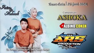 LIVE quotASHOKAquot Music  ARS jilid 2 mrKAPER Audio [upl. by Alidus]