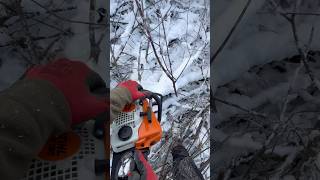 STIHL  MS 180 в роботі [upl. by Aissat956]