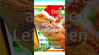 Dein ganzheitliches Bartagamenbuch INKLUSIVE Futterpläne für jedes Bartagamen Alter lohntsich 🎁✅😃 [upl. by Britteny594]