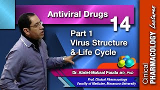 Antiviral Chemotherapy  Part 1 virus structure and life cycle [upl. by Inahs]