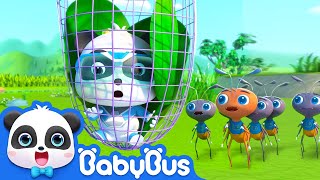 Baby Panda is Trapped  Super Panda Rescue Team  Kids Cartoon  BabyBus [upl. by Yenreit]