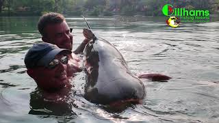 Paul Vaughan has an epic battle with a Mekong Giant Catfish at Gillhams Fishing Resorts Thailand [upl. by Bendicta]