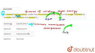 In photophosphorylation under the circumstances when NADP is not longer available as acceptor t [upl. by Enohs169]