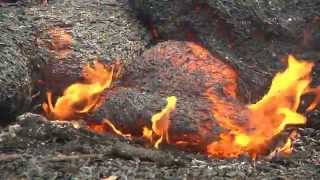 Lava Flow breakout above Pahoa [upl. by Rosalyn]