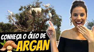 ÓLEO DE ARGAN NOS CABELOS  Conheça os Benefícios e Saiba Como Usar [upl. by Saideman]