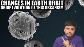 Coccolithophore Evolution Is Driven By Earths Orbital Changes [upl. by Waterman]