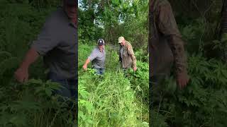 Hog Hunting with Troy Landry Daniel Edgar and Anna The Archer from Swamp People [upl. by Arihaz]