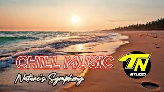 CHILL MUSIC Unwind with some soothing love song chill music Perfect for relaxing studying [upl. by Pagas]