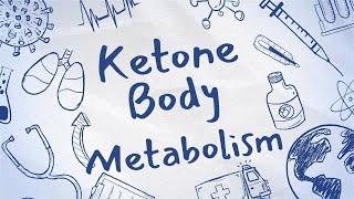 ketone body metabolismMADE EASY [upl. by Lundgren754]