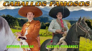 🐴 Corridos de Caballos 🐴 Vicente Fernández vs Antonio Aguilar 🐴 Mix Puros Corridos de Caballos [upl. by Kabob618]