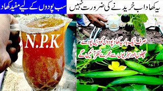 Orgenic NPK fertilizer for plants  Best orgenic liquid fertilizer for plants get heavy fruiting [upl. by Stillas]