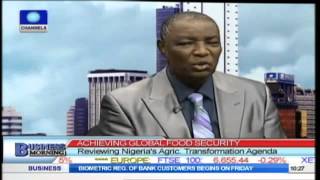 Business Morning Reviewing Nigerias Agricultural Transformation Agenda [upl. by Mcclish680]