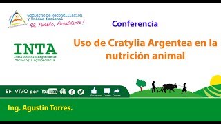 INTA Uso de Cratylia Argentea en la nutrición animal [upl. by Nalod825]