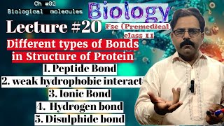 Different Types of BONDS in Structure of Protein Biological MoleculesBiology class 11 Urdu\HINDI [upl. by Daisi]