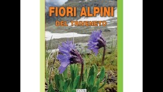 Fiori alpini del Triveneto Guida per riconoscerli  Edizioni DBS [upl. by Anoet]