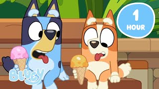 🔴LIVE Summer Fun 😎  Fun in the Sun with Bluey and Bingo  Bluey [upl. by Akerehs]