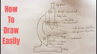 How to draw compound of Microscope easily  step by step [upl. by Colwin358]