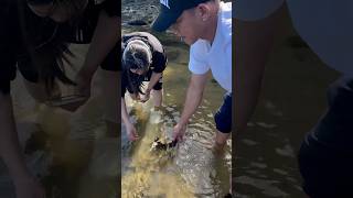 Crabbing and Mussels picking  Lakes Entrance [upl. by Iow]