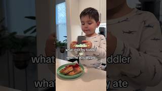 Last 10 min got cut off but go to my TikTok ✨whatmytoddlereats toddlermeals [upl. by Strong]