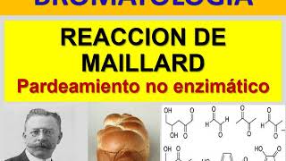 BROMATOLOGIA Reacción de Maillard [upl. by Rooker]