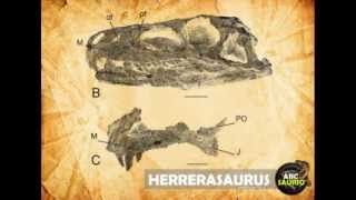 Herrerasaurus  ABCsaurio [upl. by Wershba]