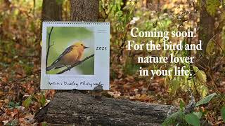 Nature Calendar Coming Soon [upl. by Chelsae]