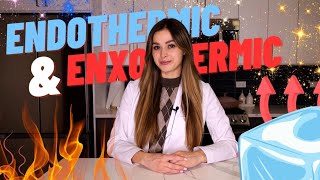 Endothermic and Exothermic Reactions  CHEM WITH WREN  Science Experiment [upl. by Whitten]