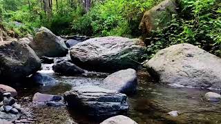 Peaceful Forest River Calming Mountain Stream Sound Beautiful Birds Chirping Insomnia Meditation [upl. by Benedic452]