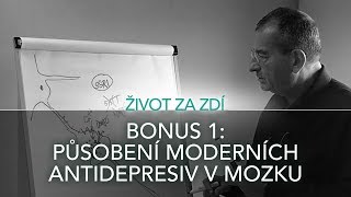 BONUS 1 PŮSOBENÍ MODERNÍCH ANTIDEPRESIV V MOZKU [upl. by Retsub]