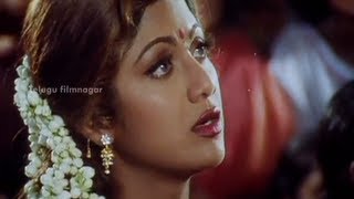 Sahasa Veerudu Sagara Kanya Scenes  Shilpa Shetty warned by a witch  Venkatesh [upl. by Kleinstein]