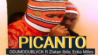 ODUMODUBLVCK  PICANTO ft Zlatan Ecko Miles amp FalQkon Official Lyrics Video [upl. by Jefferey969]