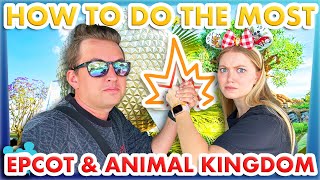 How to Do The MOST in EPCOT and Disneys Animal Kingdom in ONE DAY  35 Attractions [upl. by Bigg]