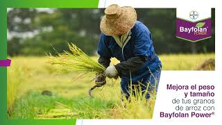 Bayfolan Power®  Agro Bayer Perú [upl. by Idnek]