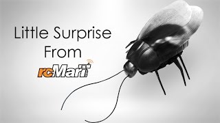 RC Prank Cockroach [upl. by Dody]