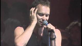 Sting feat Zucchero  Muoio Per Te live HD [upl. by Ettenoitna404]