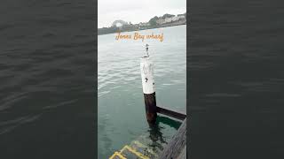 jones bay wharf  bay sydney Australia crown casino viralvideo subscriber [upl. by Ullund]