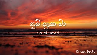 Numba daka ma  නුඹ දැක මා Slowed  Reverb [upl. by Eita]