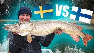 SWEDEN vs FINLAND  Pike Fishing Competition ft Urpoerämies [upl. by Mervin550]