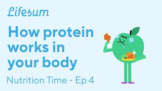 How protein works on your body  Nutrition Time  EP4  Lifesum [upl. by Hudson]