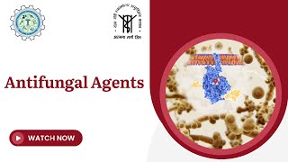 Antifungal Agents [upl. by Pascia]