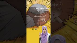 DUBBING KISAH NYATA KUCING KARDUS ⁉️ shortsvideo [upl. by Ecam988]